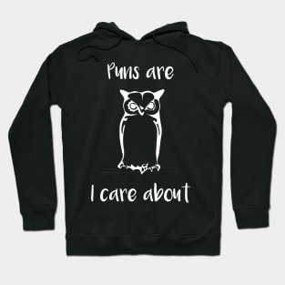 Puns are Owl I Care About Hoodie